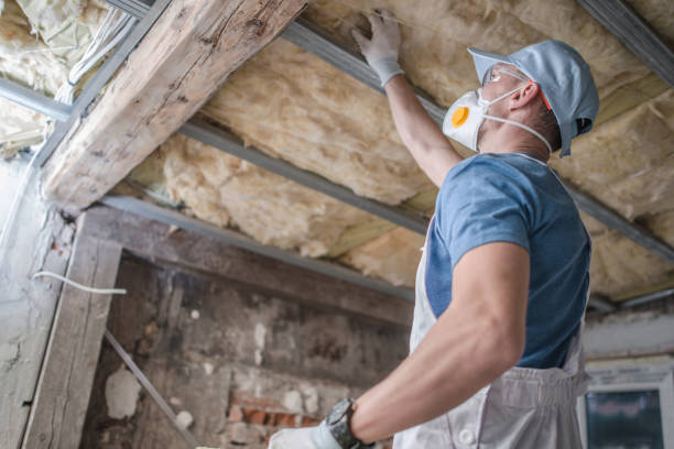 Types of Insulation We Offer in Purvis, MS