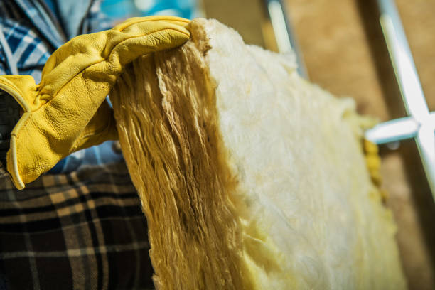 Best Geographic-Specific Insulation Services in Purvis, MS