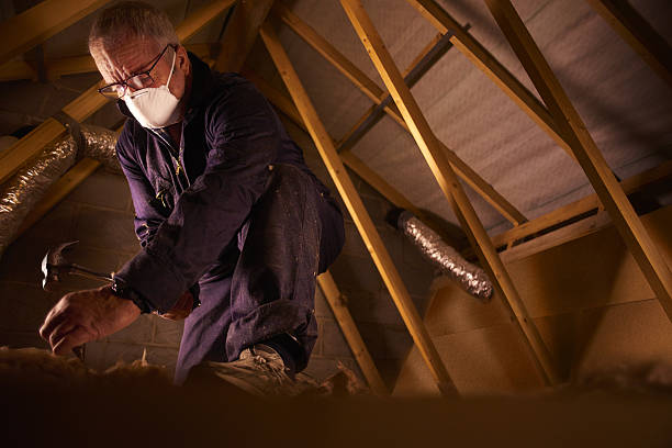 Best Commercial Insulation in Purvis, MS